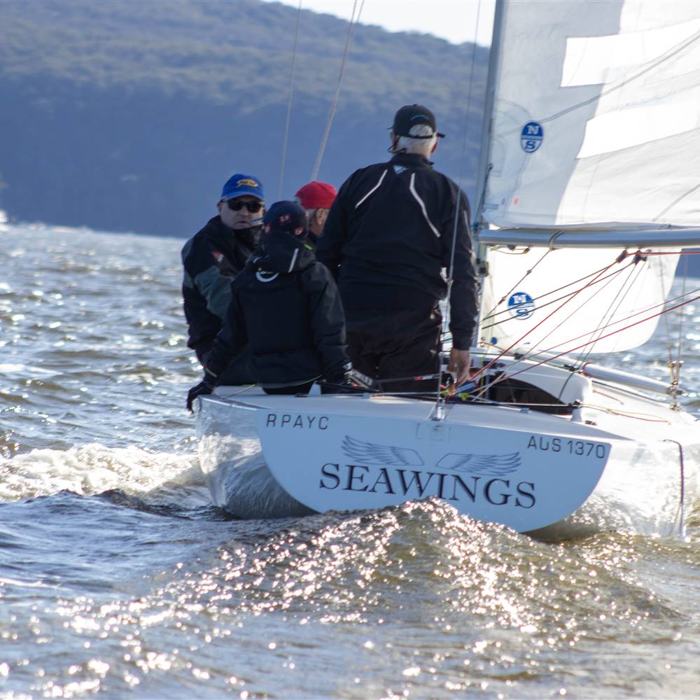 Sea Wings