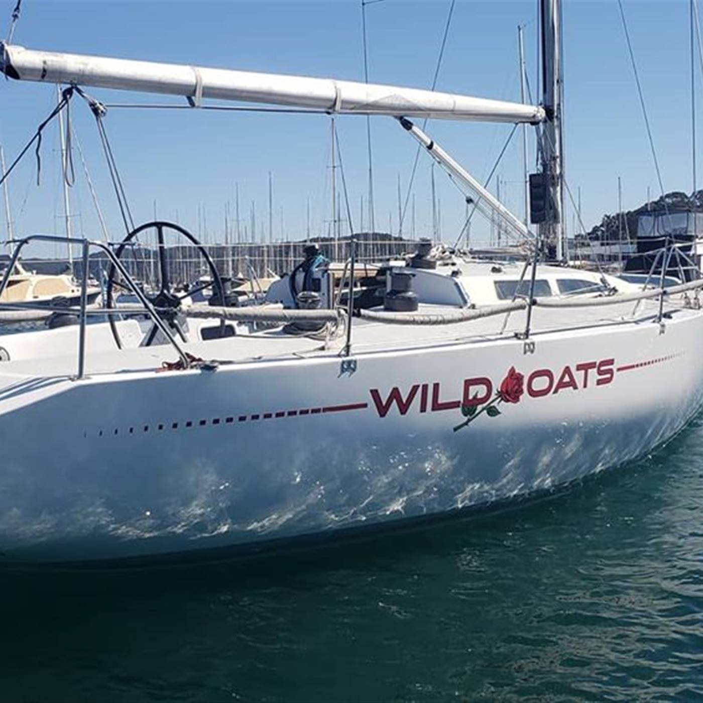 Wild Oats